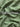 Green Stripe Pattern Printed Pure Linen Blend Fabric
