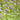 2 Piece Set (2.5mtr+2.5mtr) Pure Muslin Silk Printed Fabric