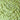 Natural Muslin Silk Lime Wave Geometry Pattern Printed Fabric