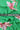Green Pink Floral Pattern Printed Natural Muslin Silk Fabric