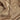 Beige Super Soft Velvet Fabric with Ripples and Lustrous Sheen