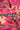Barah Masi Cluster Pattern With Pink Background Natural Muslin Silk Fabric