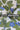 Off-white and Olive Periwinkle Pattern Printed Natural Muslin Silk Fabric
