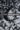 Off White Black Sketchy Floral Pattern Printed Natural Muslin Silk Fabric