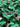 Forest Green Abstract Floral Printed Pure Linen Blend Fabric