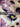 Multicolor Big Floral Pattern Printed Natural Muslin Silk Fabric