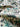 Tropical Jungle Pattern Hand Block Printed Premium Pure Cotton Fabric