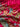 Pink Dola Silk Fabric with Butti Work and Heavy Embroidered Border Work