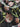 Midnight Garden Sequin Embroidery Fabric